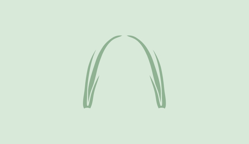A minimalist graphic of an arch formed by two curved, green leaf-like shapes on a pale green background.