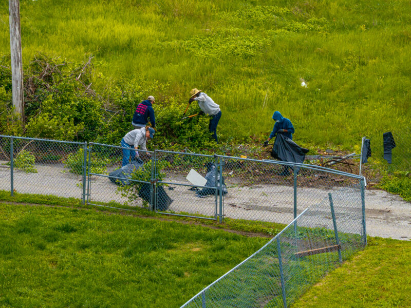 A group of four volunteers uses shears to clear overgrown weeds and brush along a chain-link fence bordering a grassy field. They are bagging the yard waste into large black trash bags.