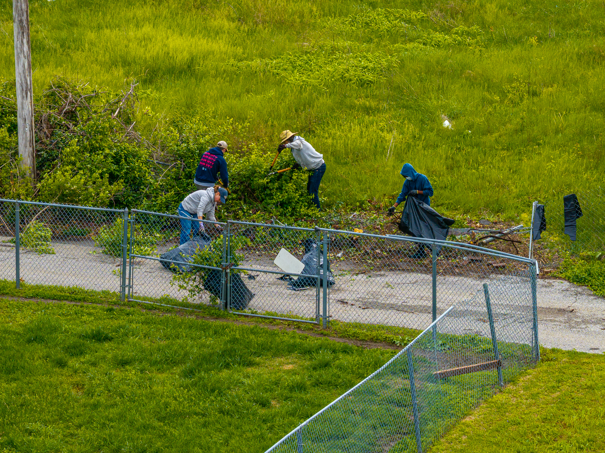 A group of four volunteers uses shears to clear overgrown weeds and brush along a chain-link fence bordering a grassy field. They are bagging the yard waste into large black trash bags.