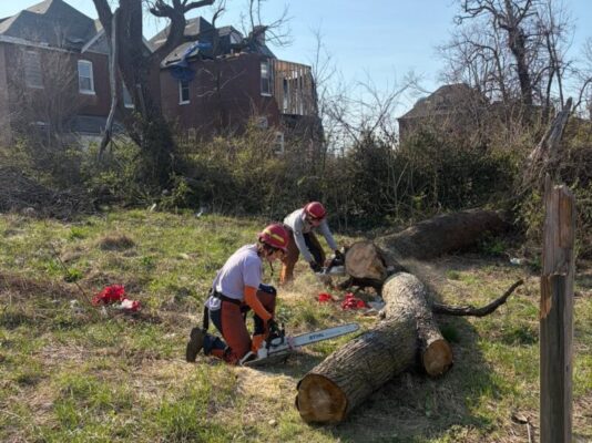 Two volunteers wearing safety gear and red hard hats use chainsaws to cut up a massive fallen tree trunk in an overgrown yard. Houses with severe roof and structural damage are visible in the background.