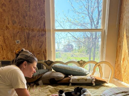 A woman gently leans over a yellow quilt-covered bed to look at a litter of four small kittens. The room has unfinished wood walls and a bright, sunlit window in the background.