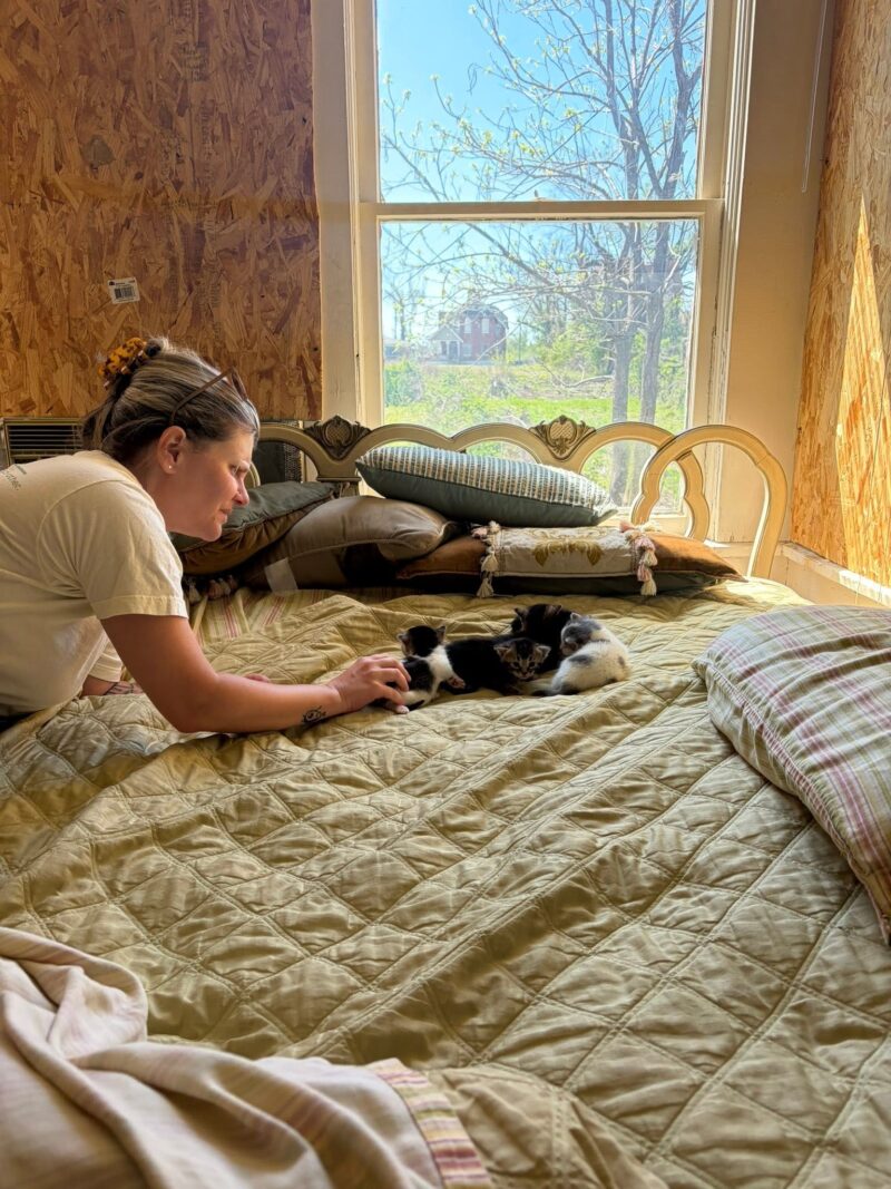 A woman gently leans over a yellow quilt-covered bed to look at a litter of four small kittens. The room has unfinished wood walls and a bright, sunlit window in the background.